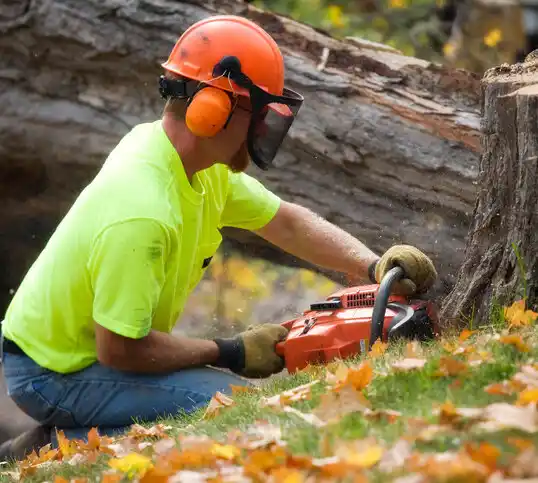 tree services Elko New Market